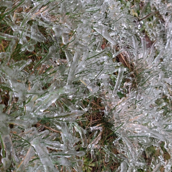 "Vacation" - Picture 2 of 2